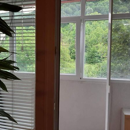 Apartment Milevi Tetewen Zewnętrze zdjęcie